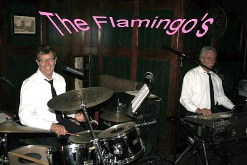 Flamingo s ( 2 )