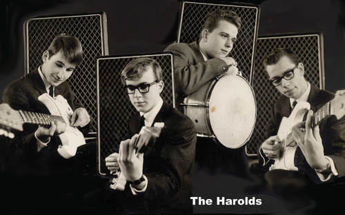 Harolds